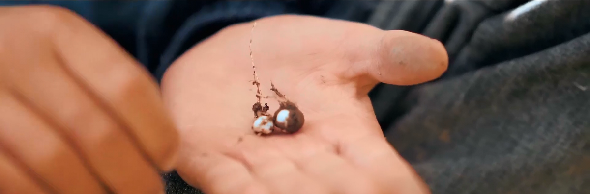 1574483612319363.png 微信图片_20191122175221.png